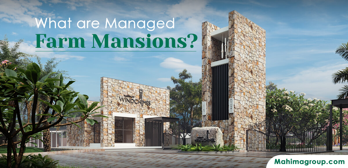What are Managed Farm Mansions